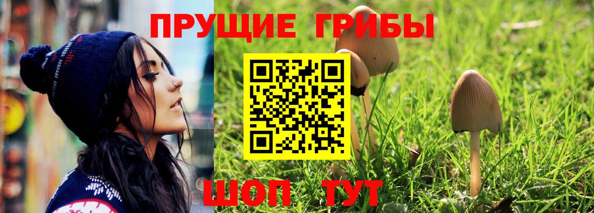 Зеленодольск  Псилоцибиновые грибы Cubensis  Вход с VPN  Псилоцибиновые грибы ЛСД 