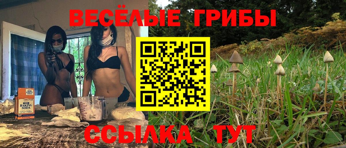 Псилоцибиновые грибы Psilocybine cubensis Зеленодольск